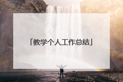 教学个人工作总结