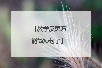 教学反思万能简短句子