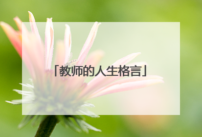 教师的人生格言