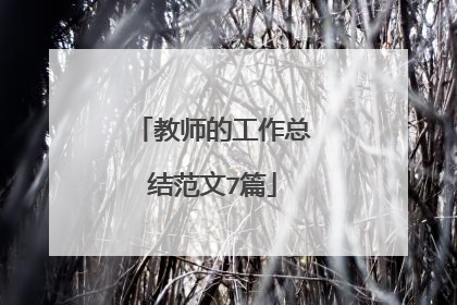 教师的工作总结范文7篇