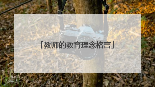 教师的教育理念格言