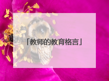 教师的教育格言
