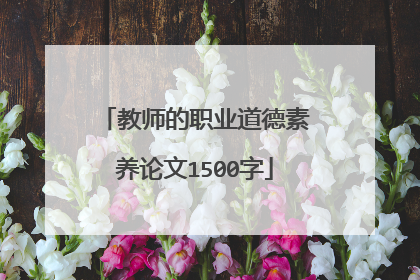 教师的职业道德素养论文1500字