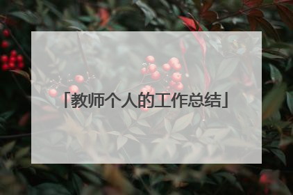 教师个人的工作总结