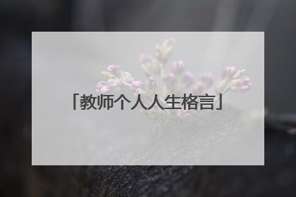 教师个人人生格言
