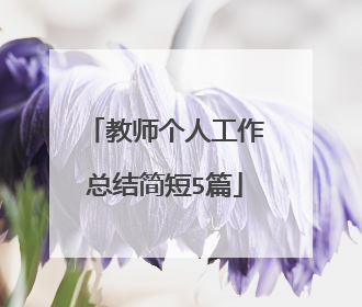 教师个人工作总结简短5篇