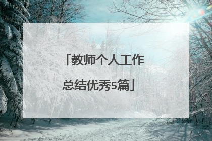 教师个人工作总结优秀5篇