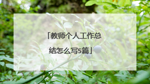 教师个人工作总结怎么写5篇