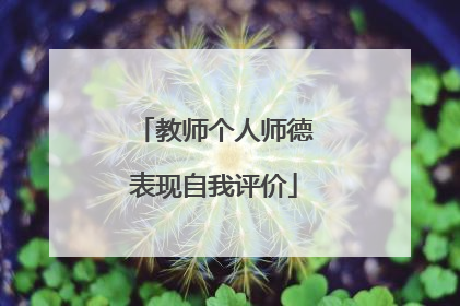 教师个人师德表现自我评价