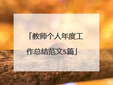 教师个人年度工作总结范文5篇