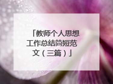 教师个人思想工作总结简短范文(三篇)