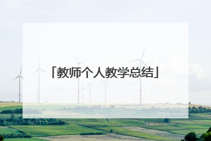 教师个人教学总结