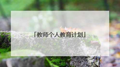 教师个人教育计划