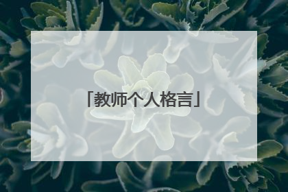 教师个人格言