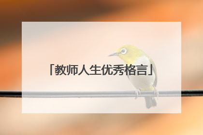 教师人生优秀格言