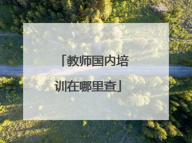 教师国内培训在哪里查