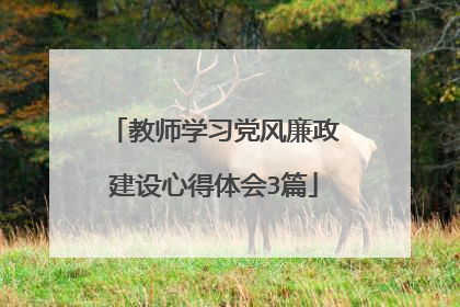 教师学习党风廉政建设心得体会3篇