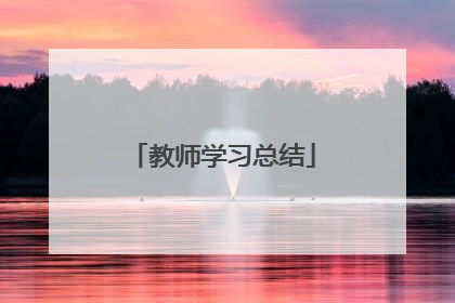 教师学习总结