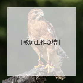 教师工作总结