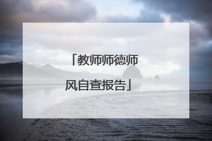 教师师德师风自查报告