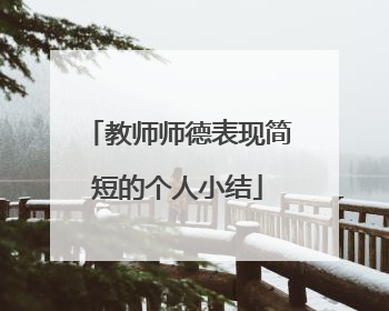 教师师德表现简短的个人小结