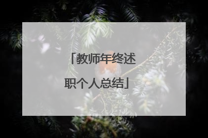 教师年终述职个人总结