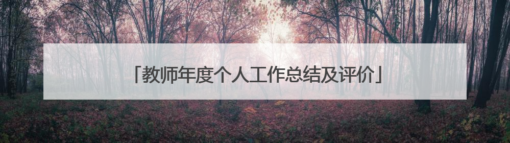 教师年度个人工作总结及评价