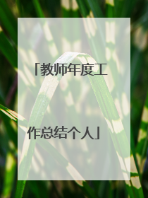 教师年度工作总结个人