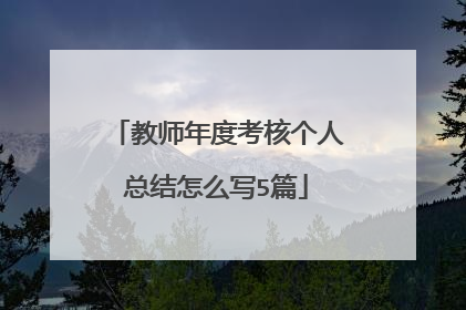 教师年度考核个人总结怎么写5篇