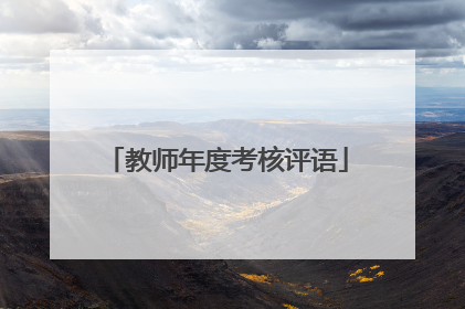 教师年度考核评语
