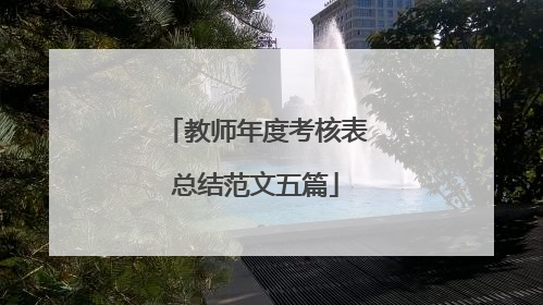 教师年度考核表总结范文五篇