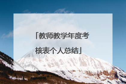 教师教学年度考核表个人总结