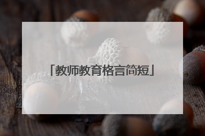 教师教育格言简短