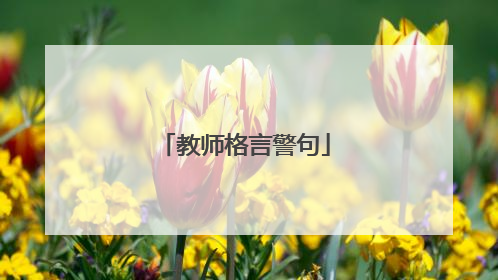教师格言警句