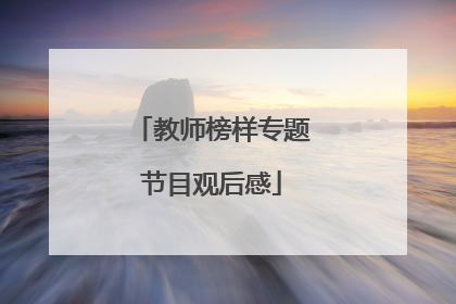 教师榜样专题节目观后感