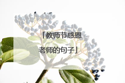 教师节感恩老师的句子
