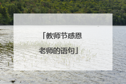 教师节感恩老师的语句
