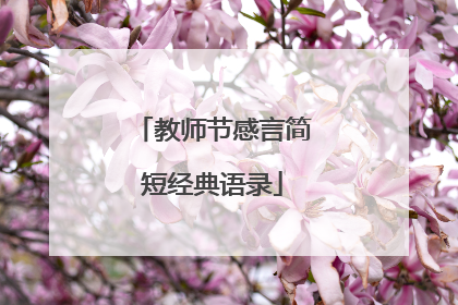 教师节感言简短经典语录