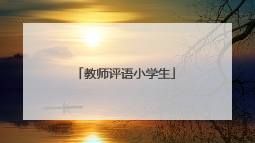 教师评语小学生
