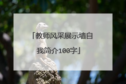 教师风采展示墙自我简介100字