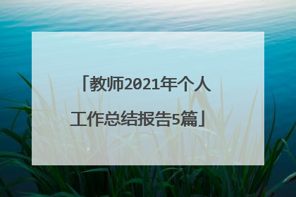 教师2021年个人工作总结报告5篇