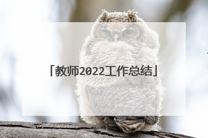 教师2022工作总结