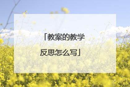 教案的教学反思怎么写