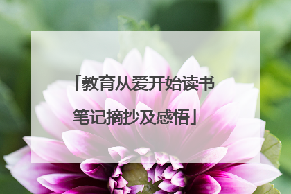 教育从爱开始读书笔记摘抄及感悟