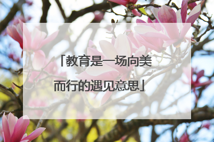 教育是一场向美而行的遇见意思