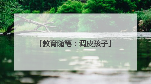教育随笔：调皮孩子