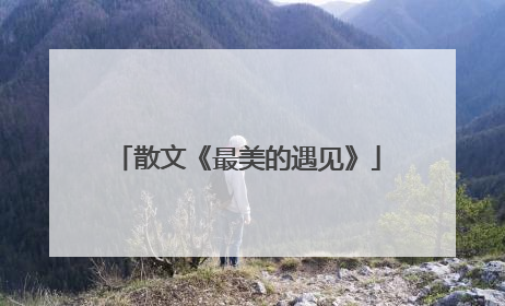 散文《最美的遇见》