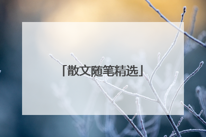 散文随笔精选