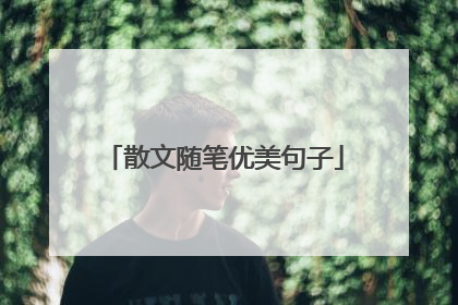 散文随笔优美句子
