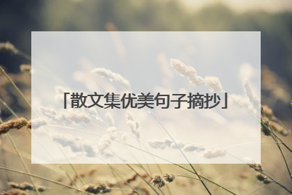 散文集优美句子摘抄
